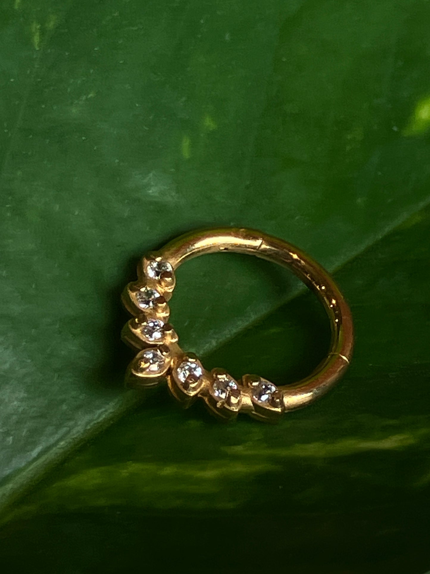 Gemmed Septum Clicker