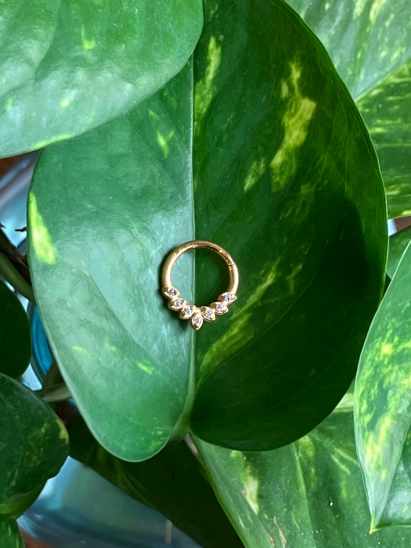 Gemmed Septum Clicker