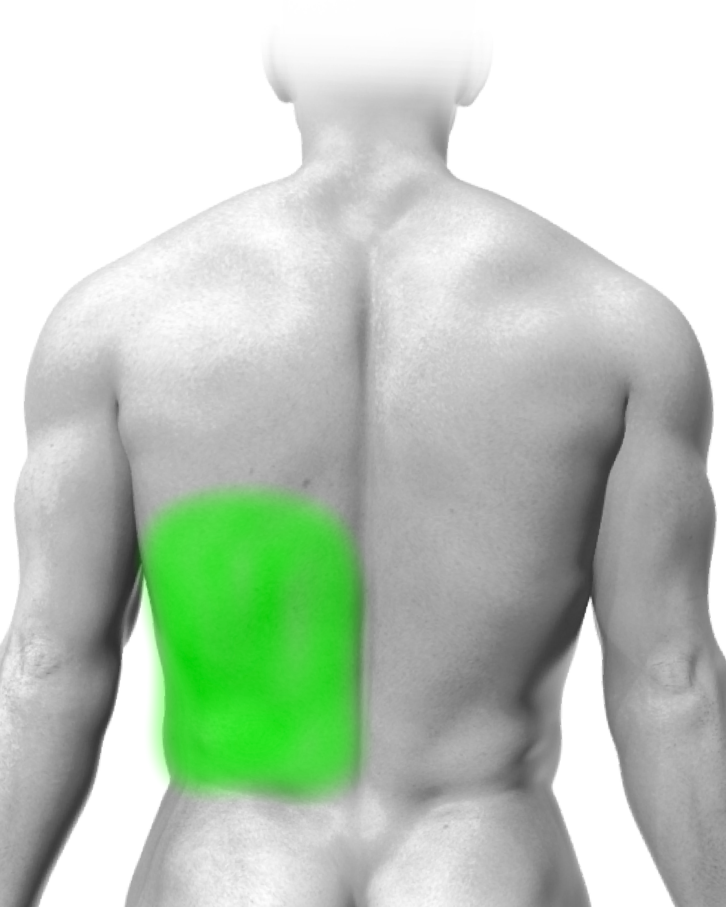 Partial Back or Shoulder
