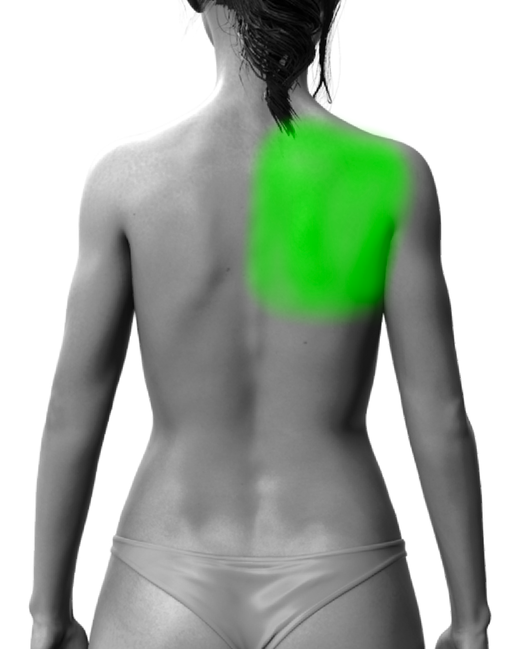 Partial Back or Shoulder