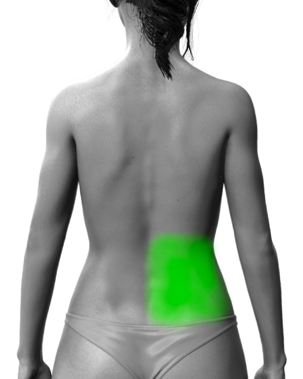 Partial Back or Shoulder