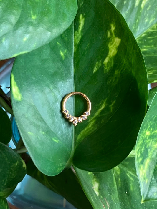 Gemmed Septum Clicker