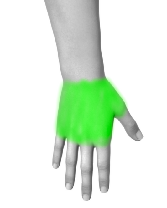 Full Hand (Script)