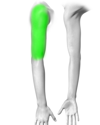 Arm Quarter Sleeve (wrist to elbow OR elbow to shoulder )