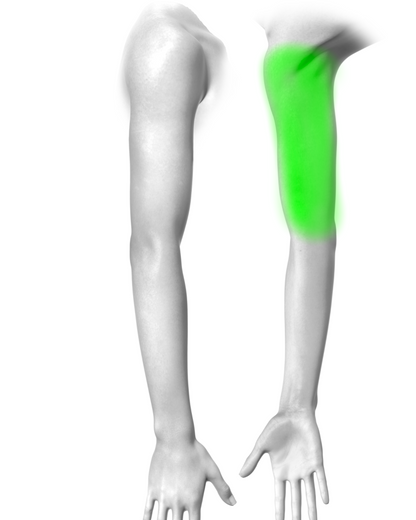 Arm Quarter Sleeve (wrist to elbow OR elbow to shoulder )