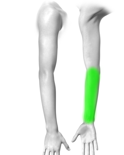 Arm Quarter Sleeve (wrist to elbow OR elbow to shoulder )