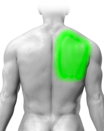 Partial Back (Script)