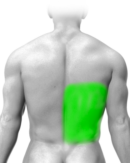 Partial Back (Script)