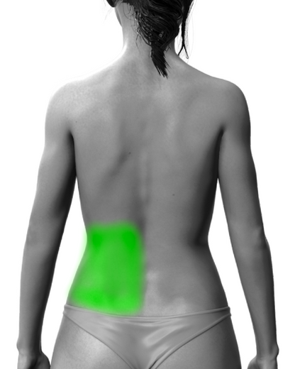 Partial Back (Script)