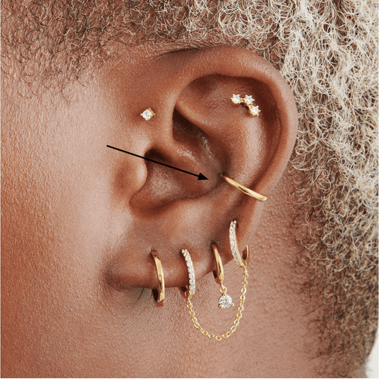 Conch Piercing