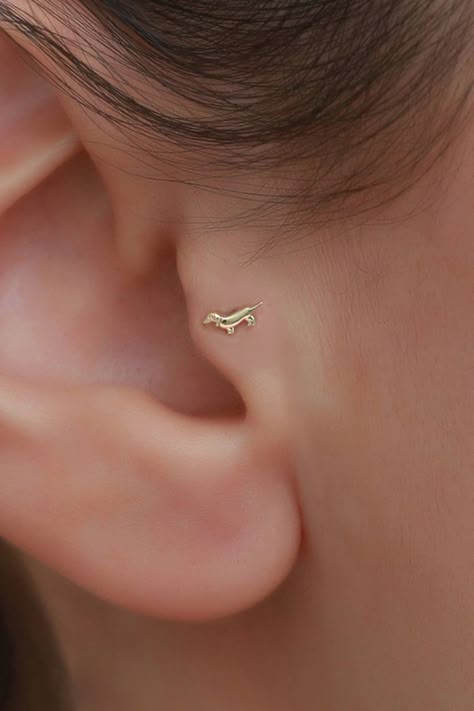 Tragus Piercing